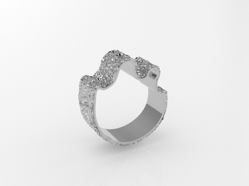Floating Sculptures 01 Ring