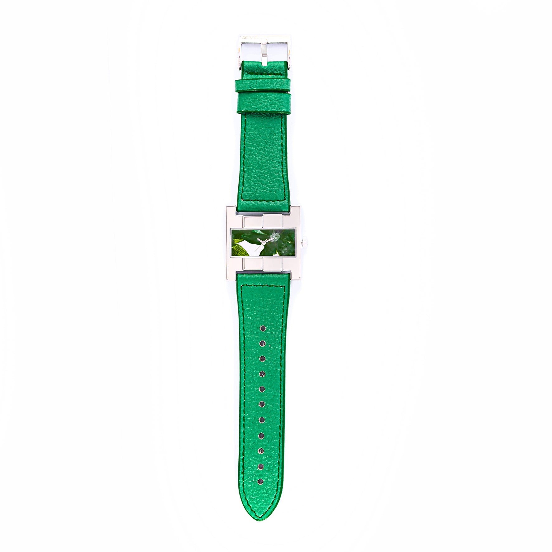 THE ASCENT SILVER GREEN FLOWERS GREEN